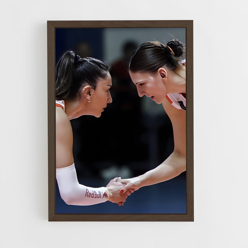 Poster Tijana boskovic figures – affiche Volleyball (vue 5)